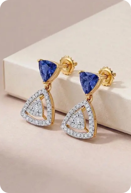 Elegance Earrings